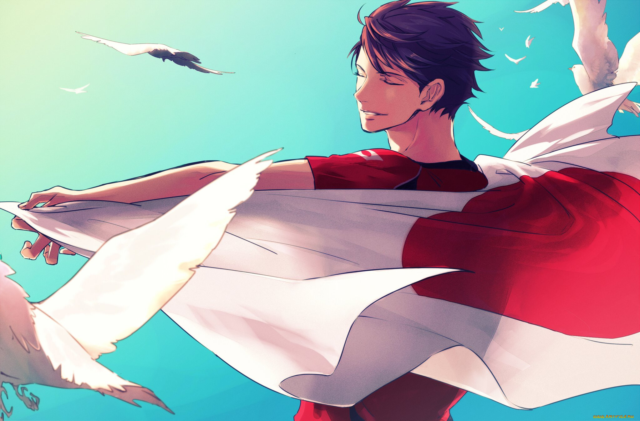 , haikyuu, , 